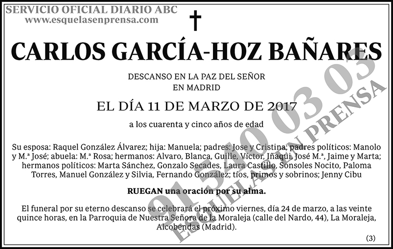 Carlos García-Hoz Bañares